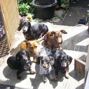 Meet your Posher, Jocelyn